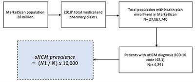 Stable Rates of Obstructive Hypertrophic Cardiomyopathy in a Contemporary Era